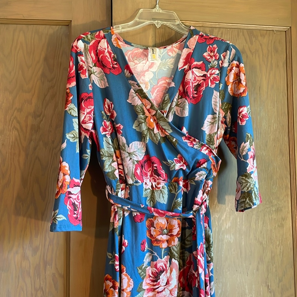 Cottage Faux wrap dress with blue, red and orange roses worn once. Size large
